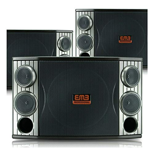 EMB KTV800 800W 10" 3-Way Karaoke Speaker KTV with Bass Reflex