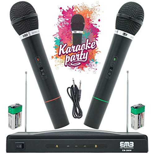 EMB EM-200W Professional Wireless Microphone System